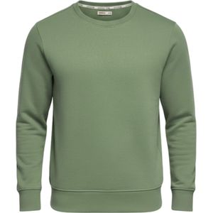 Ombre Sweatshirt  groen