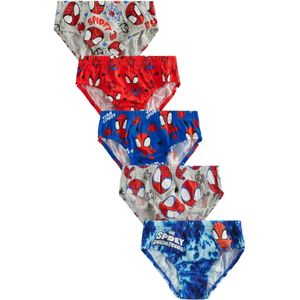 Next Onderbroek  blauw / grijs / rood