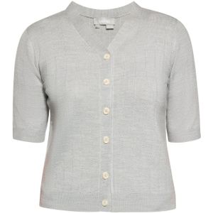 Usha Gebreid vest  grijs
