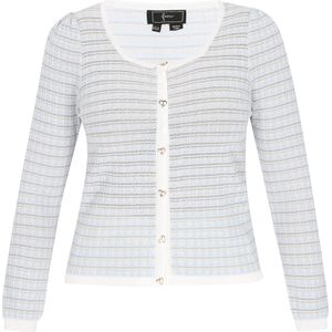 faina Gebreid vest  pastelblauw / grijs / wit