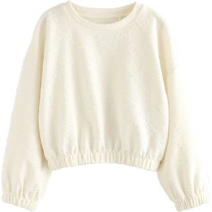 Next Sweatshirt  wolwit