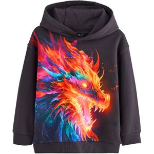 Next Sweatshirt  blauw / geel / rood / zwart