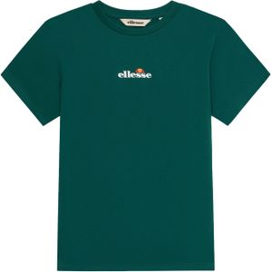 ELLESSE Shirt 'Durare'  donkergroen / wit