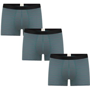Albero Natur Boxershorts  petrol