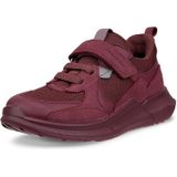 ECCO - BIOM 2.2 - Sneakers - Bordeaux