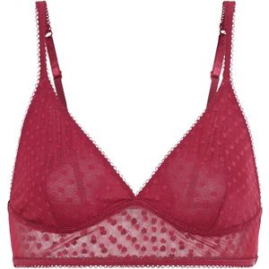 LSCN by LASCANA BH  bessen