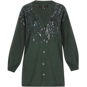 faina Gebreid vest  navy / donkergroen