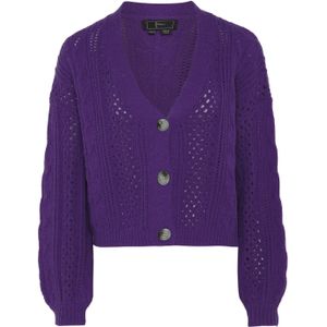 faina Gebreid vest  donkerlila