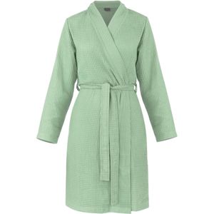 normani Ochtendjas 'Manisa'  mintgroen