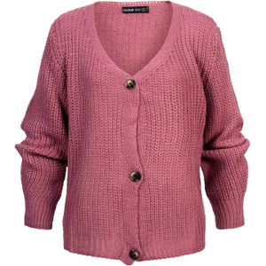 Cloud5ive Gebreid vest  pink