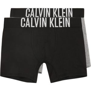 Calvin Klein Underwear Onderbroek  grijs / zwart / offwhite