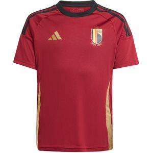Functioneel shirt 'Belgium 24 Home Fan'