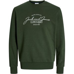 Sweatshirt 'JJFERRIS'