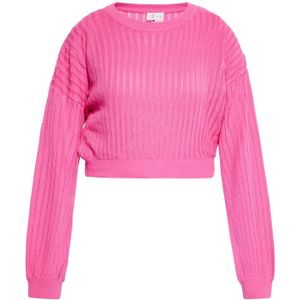 IZIA Trui  pink