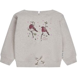 STACCATO Sweatshirt  lichtgrijs / spar / cyclaam / eosine