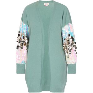 IZIA Gebreid vest  blauw / cyaan blauw / oudroze / zilver