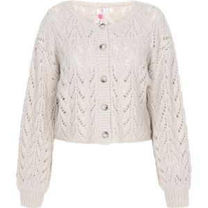 IZIA Gebreid vest  lichtgrijs