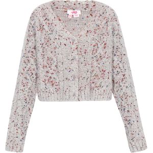 MYMO - Gebreid Vest - Grijs - V-hals - Lange Mouw