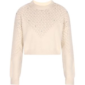 faina Trui  zilver / wolwit