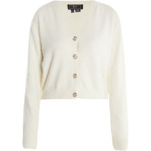 faina Gebreid vest 'Dedica'  wolwit