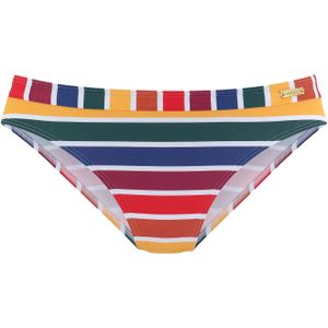 LASCANA Bikinibroek 'Pride'  gemengde kleuren