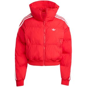 ADIDAS ORIGINALS - Adicolor - Winterjas - Rood - Gewatteerd