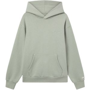 Champion - Authentic Athletic Apparel - Trui - Pastelgroen - Capuchon