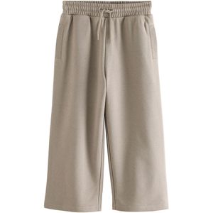 Next Broek  stone grey
