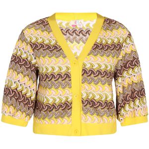IZIA Gebreid vest  beige / bruin / geel