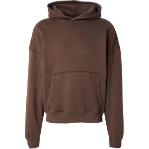 HOLLISTER Sweatshirt  cappuccino