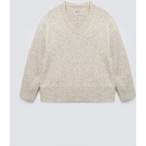 BIG STAR Trui 'Violina'  beige gemêleerd