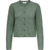 JDY - Jdychloe - Vest - Gebreid - Lange Mouwen - Knoopsluiting