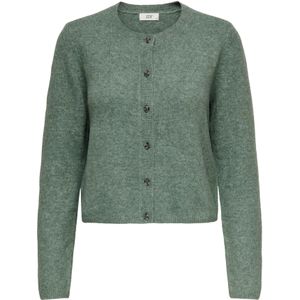 JDY - Jdychloe - Vest - Gebreid - Lange Mouwen - Knoopsluiting