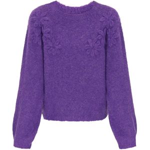 IZIA Trui  donkerlila