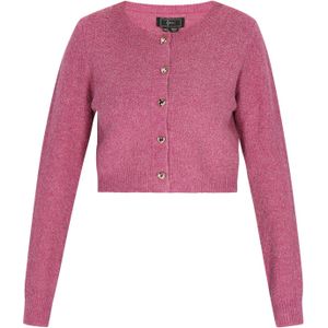 faina Gebreid vest  rosa