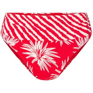 LingaDore Bikinibroek  bloedrood / wit