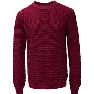 Salsa Jeans Trui  wijnrood