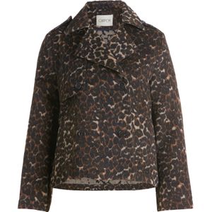 Cartoon Tussenjas  beige / bruin