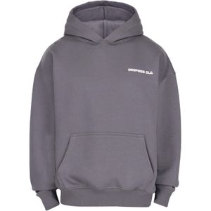 Dropsize Sweatshirt 'Global Movement'  grijs / lichtgrijs / natuurwit