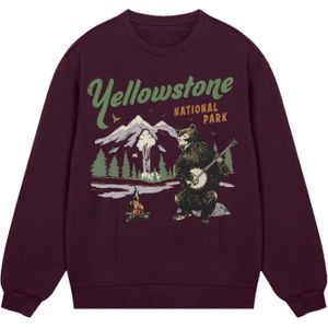 F4NT4STIC Sweatshirt 'US National Parks Yellowstone Bear Playing Banjo'  donkerbruin / groen / wit