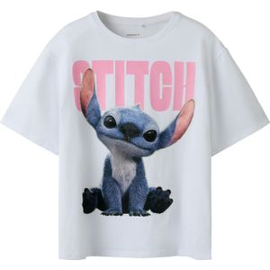 NAME IT Shirt 'NKFNIBUS STITCH'  indigo / rosa / wit