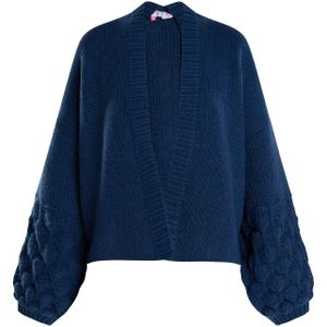 IZIA Gebreid vest  marine