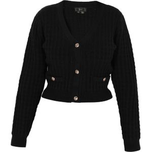 faina Gebreid vest  zwart