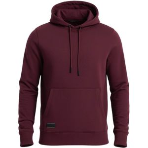 Ombre Sweatshirt 'OM-SSBN-0161'  bordeaux