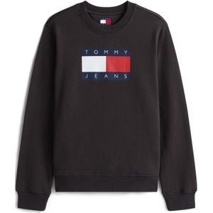 Tommy Jeans Sweatshirt  navy / cranberry / zwart / wit