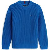 TOMMY HILFIGER - Trui - Blauw - Knitwear - Lange Mouw