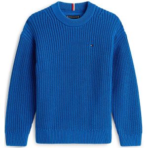 TOMMY HILFIGER - Trui - Blauw - Knitwear - Lange Mouw