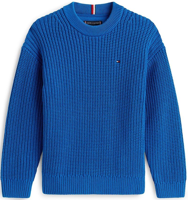 TOMMY HILFIGER - Trui - Blauw - Knitwear - Lange Mouw