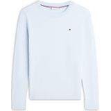 TOMMY HILFIGER Trui  navy / lichtblauw
