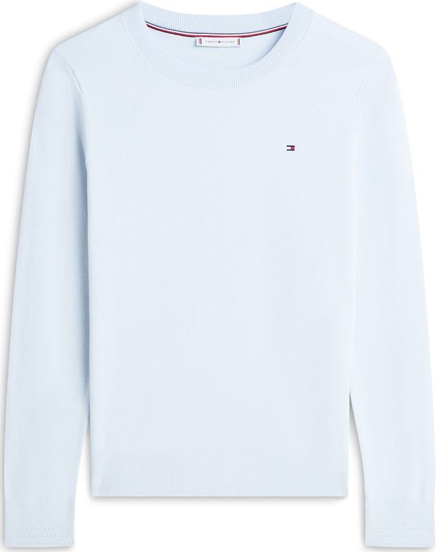 TOMMY HILFIGER Trui  navy / lichtblauw